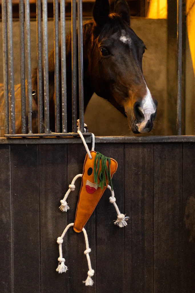 Koňská hračka do stáje z kůže s jutovou výplní, mrkev, 40 x 16 x 5 cm – Excellent Horse Foodie Friends Carrot - Obrázek 3