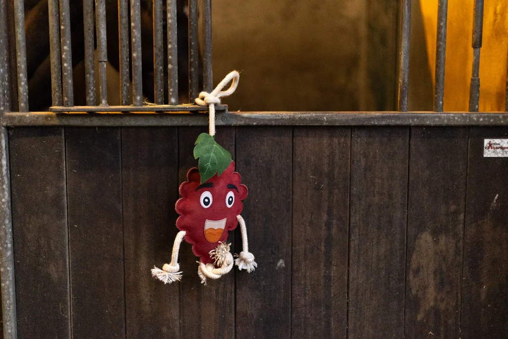 Hračka pro koně ve tvaru maliny s jutovou výplní, 29 x 20 x 5 cm – Excellent Horse Foodie Friends Raspberry - Obrázek 3