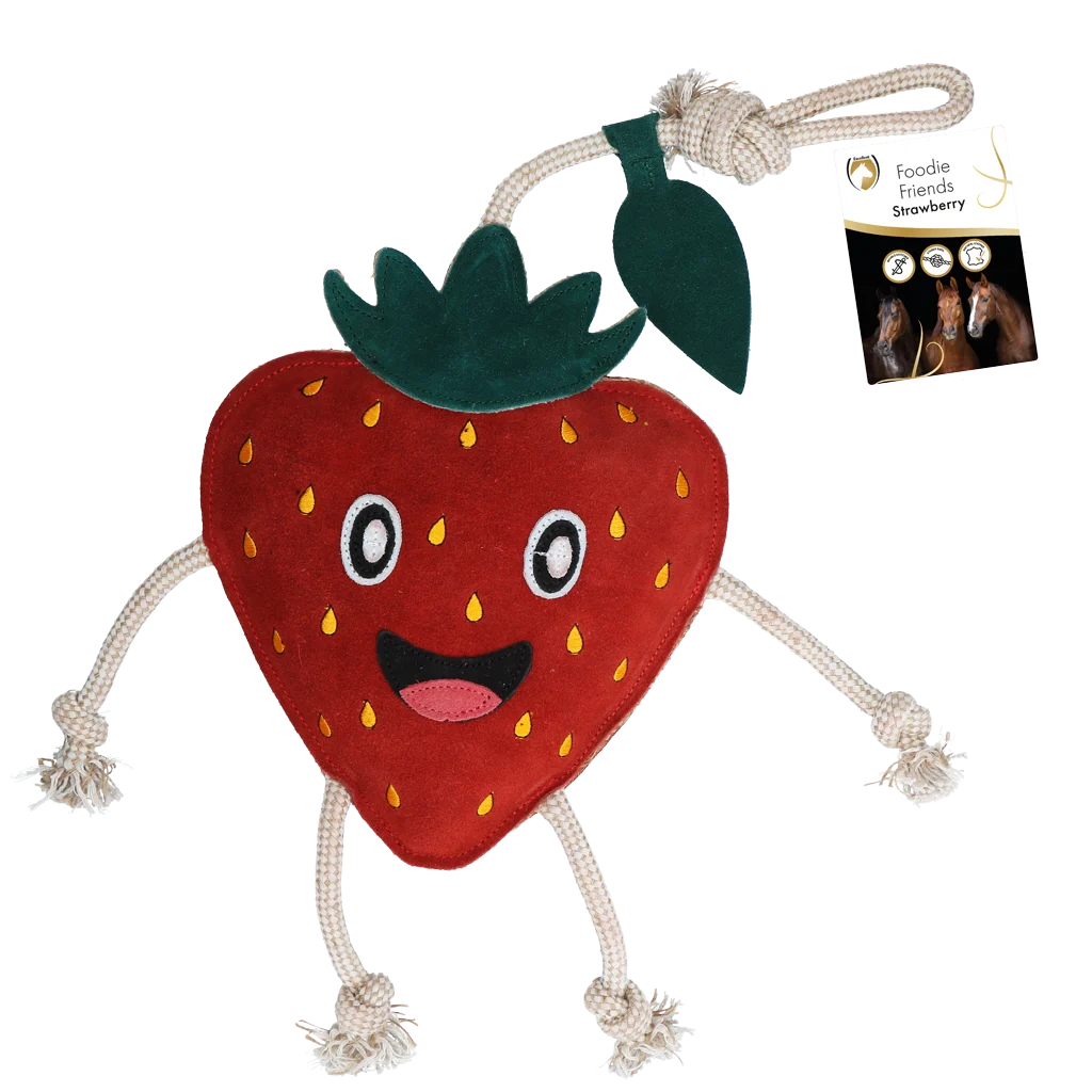 Hračka pro koně ve tvaru jahody se šustivým zvukem, 29 x 24 x 7 cm – Excellent Horse Foodie Friends Strawberry - Obrázek 1