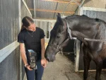 Koňské sušenky s jablkem, 500 g – Excellent Horse Ambachtelijke Paardenkoekjes Appel - Obrázek 4