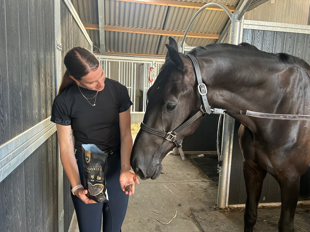 Koňské sušenky s jablkem, 500 g – Excellent Horse Ambachtelijke Paardenkoekjes Appel - Obrázek 4