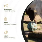 Krmný míč pro koně s otvory na krmivo, zelený – Excellent Horse Feed & Play Ball - Obrázek 6