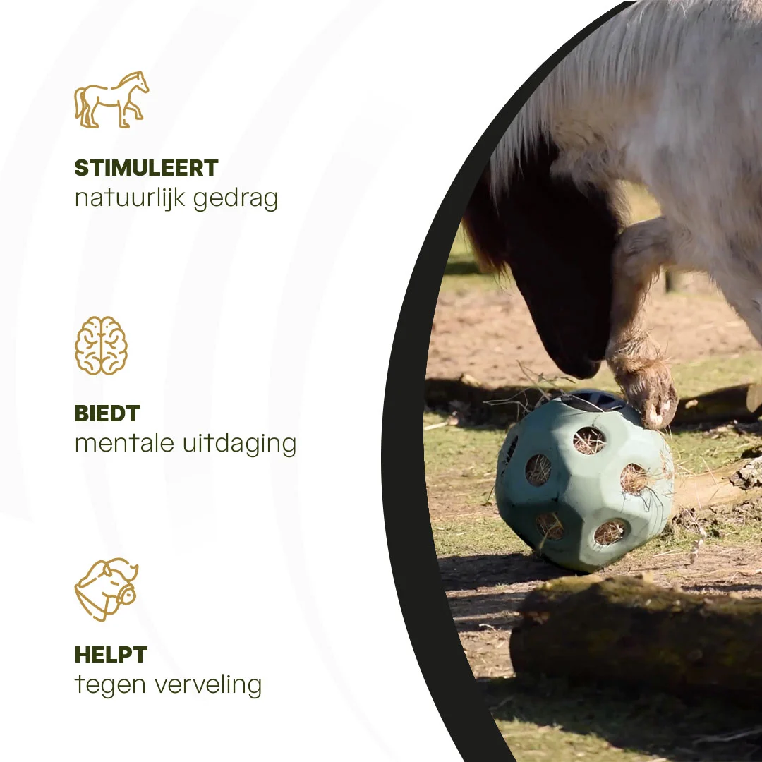 Krmný míč pro koně s otvory na krmivo, zelený – Excellent Horse Feed & Play Ball - Obrázek 6