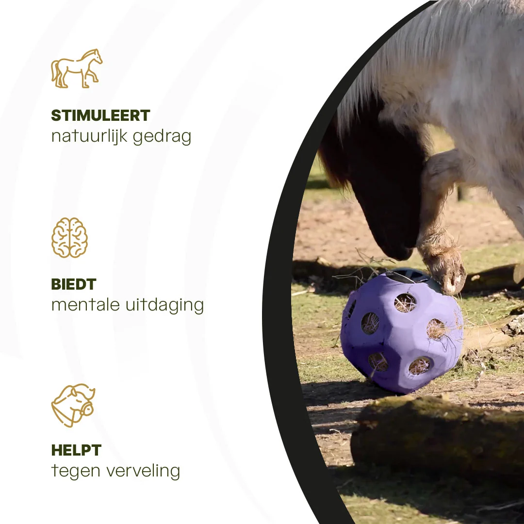 Míč na krmení pro koně s otvory na krmivo, fialový – Excellent Horse Feed & Play Ball - Obrázek 6