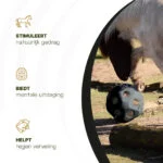 Krmná koule pro koně s otvory na krmivo, černá – Excellent Horse Feed & Play Ball - Obrázek 6