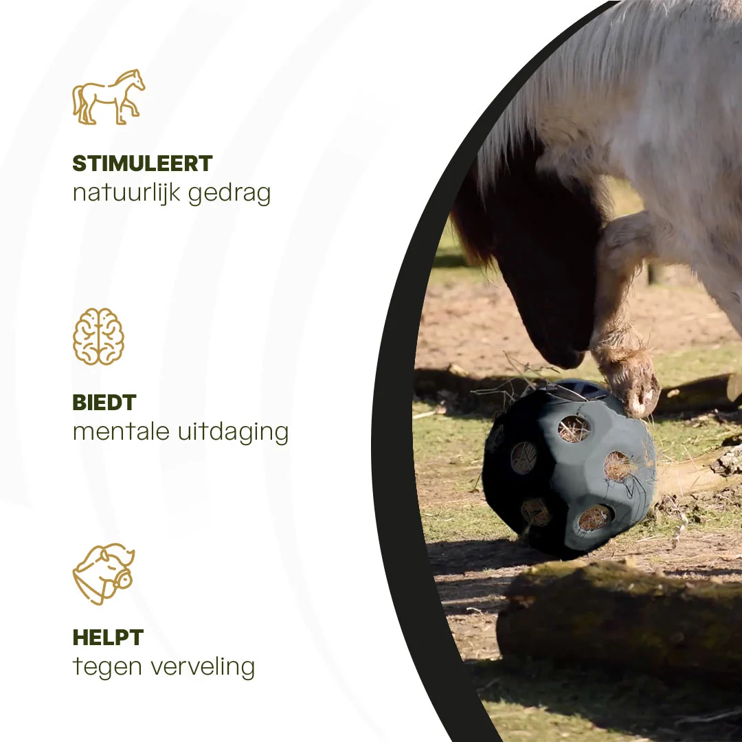 Krmná koule pro koně s otvory na krmivo, černá – Excellent Horse Feed & Play Ball - Obrázek 6