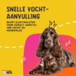 Trávicí pasta pro domácí zvířata s elektrolyty, 30 ml – Excellent Pets Digestive Support - Obrázek 5