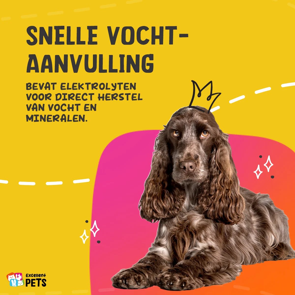 Trávicí pasta pro domácí zvířata s elektrolyty, 30 ml – Excellent Pets Digestive Support - Obrázek 5