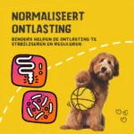 Trávicí pasta pro domácí zvířata s elektrolyty, 30 ml – Excellent Pets Digestive Support - Obrázek 6