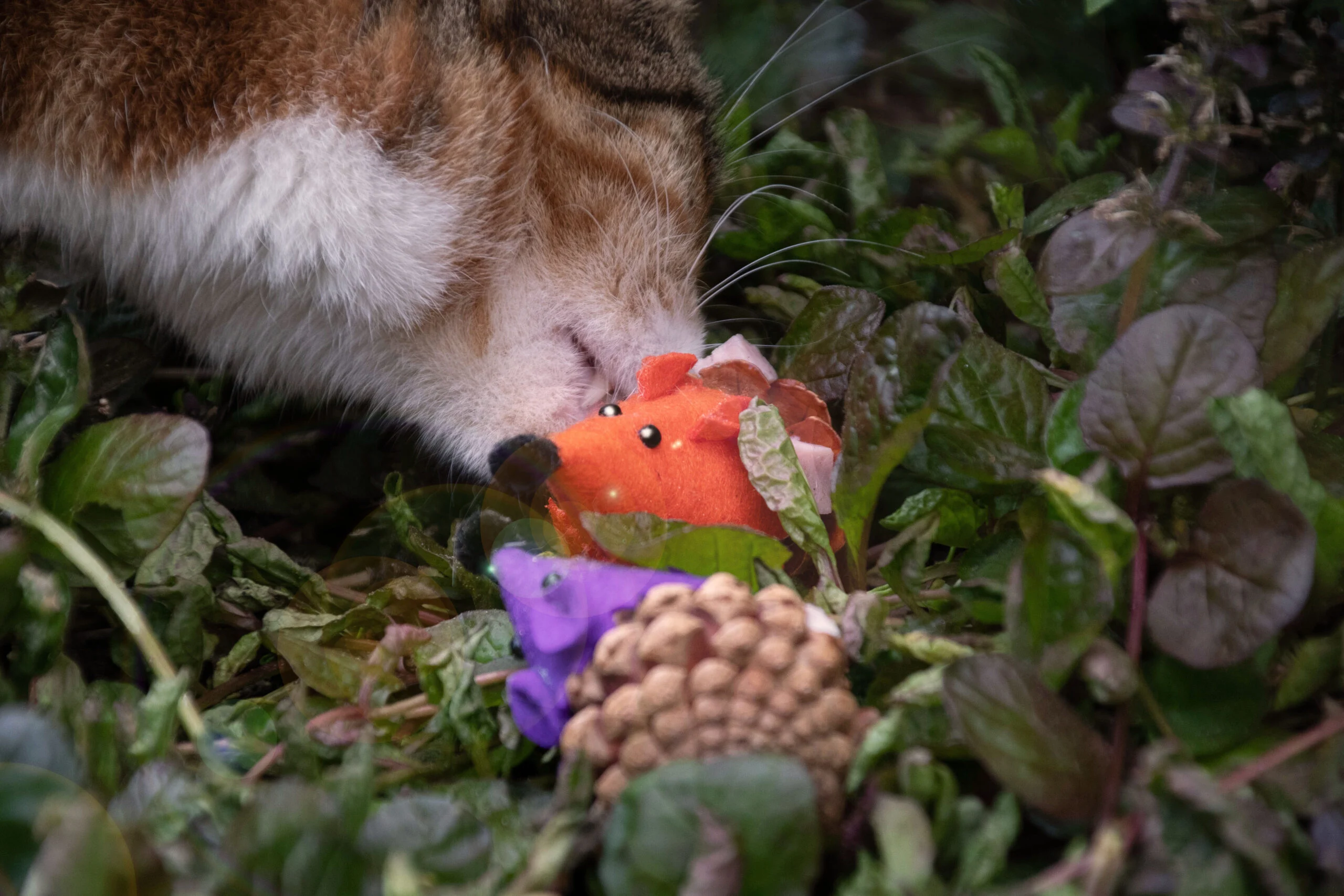 Hračka pro kočky ve tvaru myšky z šišky a plsti s Madnip, oranžová, 8 cm – Forest Friends Mouse - Obrázek 3
