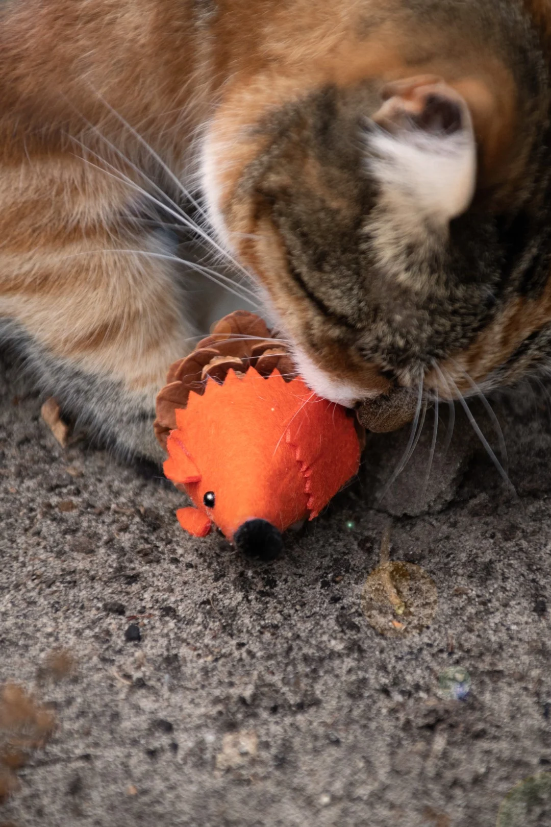 Hračka pro kočky ve tvaru myšky z šišky a plsti s Madnip, oranžová, 8 cm – Forest Friends Mouse - Obrázek 4