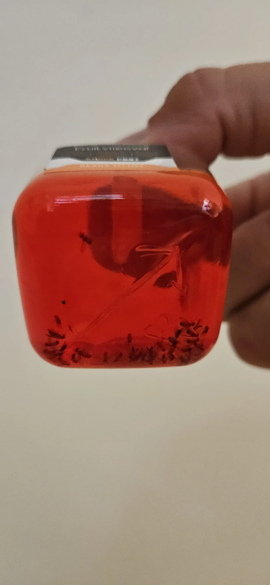Past na octomilky do interiéru, 20 ml – Knock Pest - Obrázek 3
