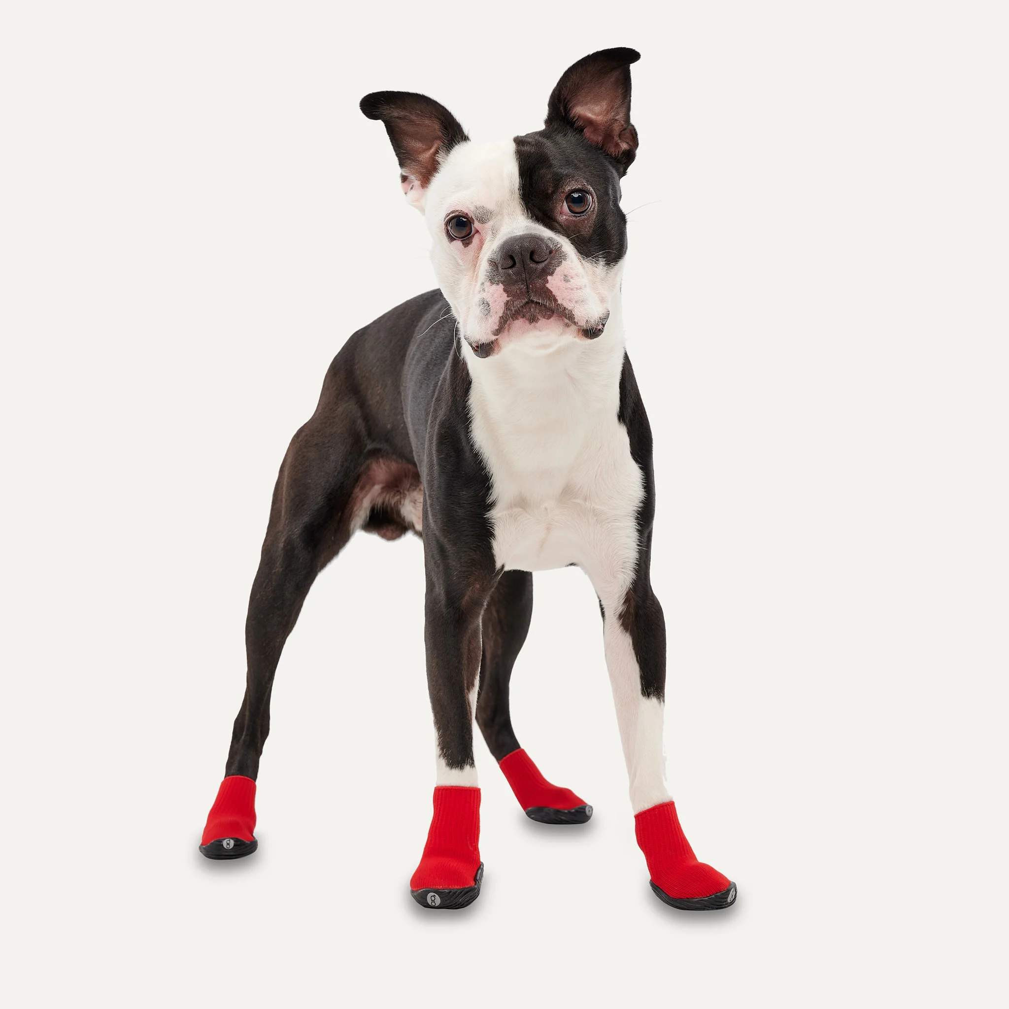 Vodotěsné psí boty s protiskluzovou podrážkou, velikost S, červené a černé, 2 kusy – Goo-eez Ultras - Obrázek 3
