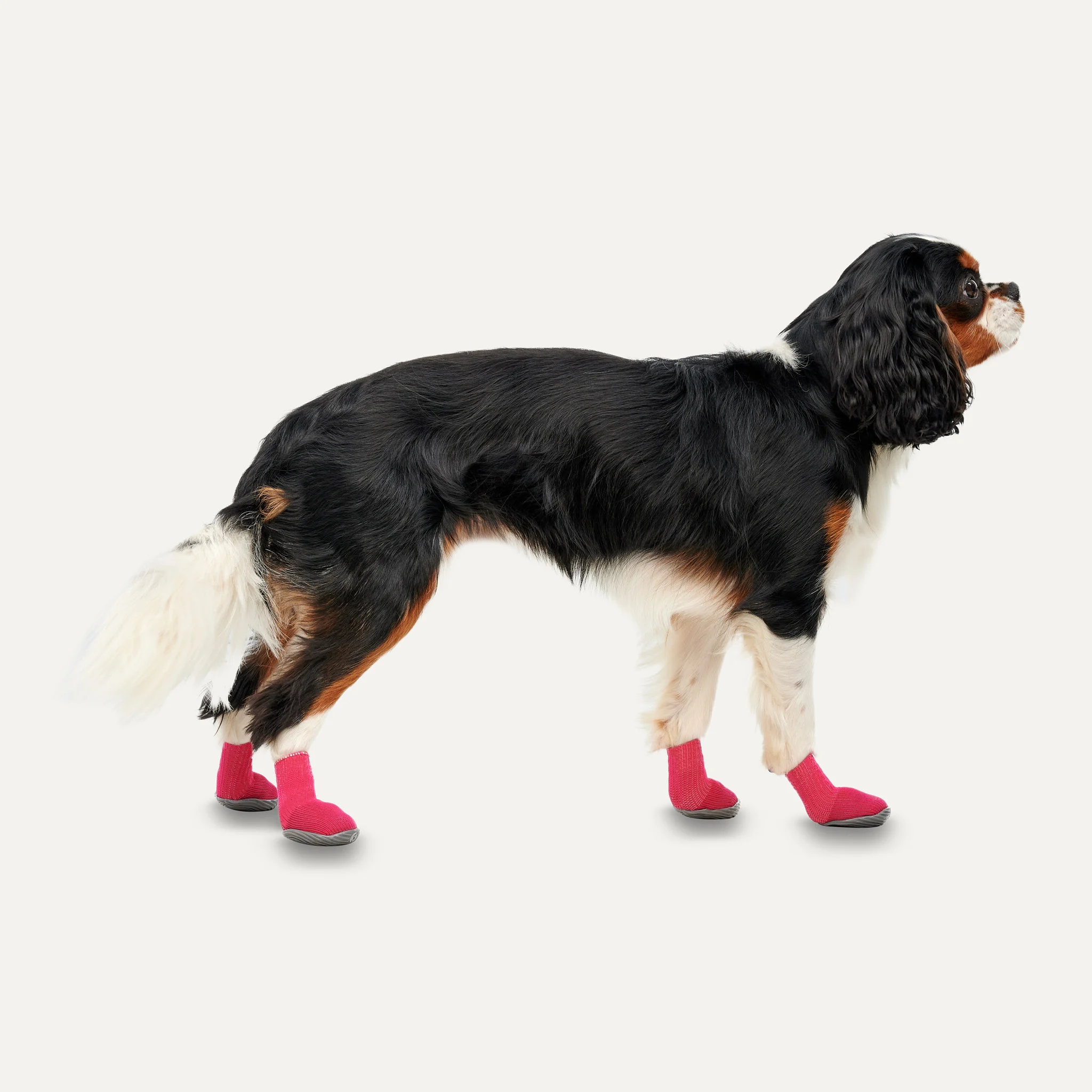 Botičky pro psy s protiskluzovou podrážkou, nepromokavé, velikost XL, červené a černé, 2 ks – Goo-eez Ultras - Obrázek 2