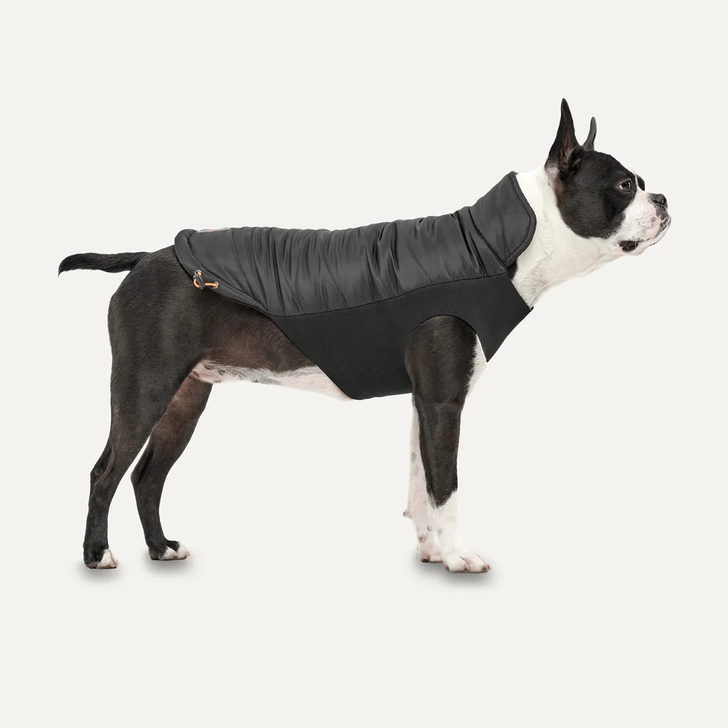 Psí bunda s plyšovou podšívkou a vodoodpudivým povrchem, velikost S, černá – Goo-eez Mock Neck Signature Wrap Jacket - Obrázek 2