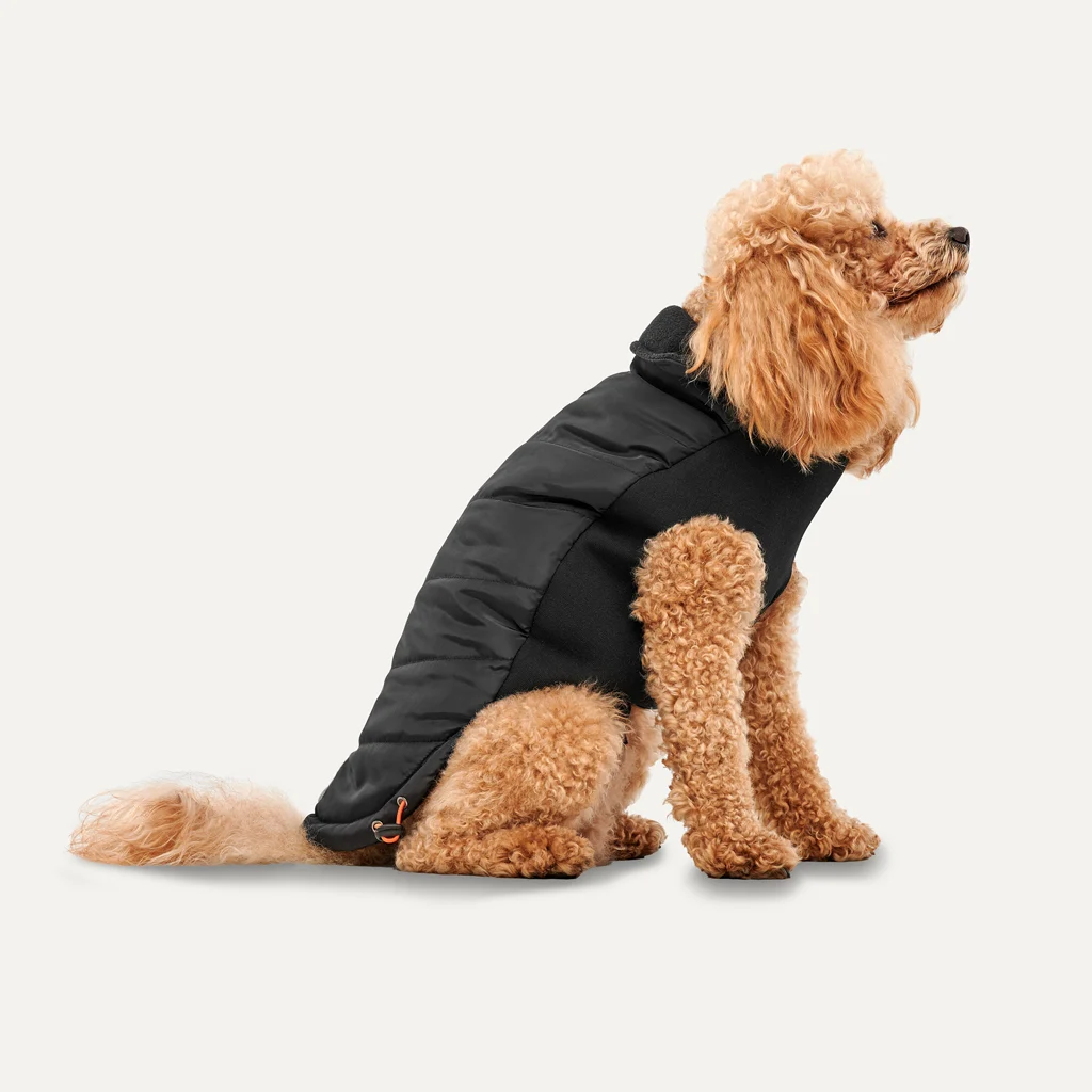 Psí bunda s plyšovou podšívkou, vodoodpudivá, L, délka zad 52 cm, černá – Goo-eez Mock Neck Signature Wrap Jacket - Obrázek 1