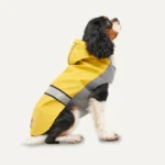 Pláštěnka pro psa s kapucí a reflexním lemem, XXL, délka zad 64 cm, žlutá a šedá – Goo-eez Reflective Hooded Raincoat