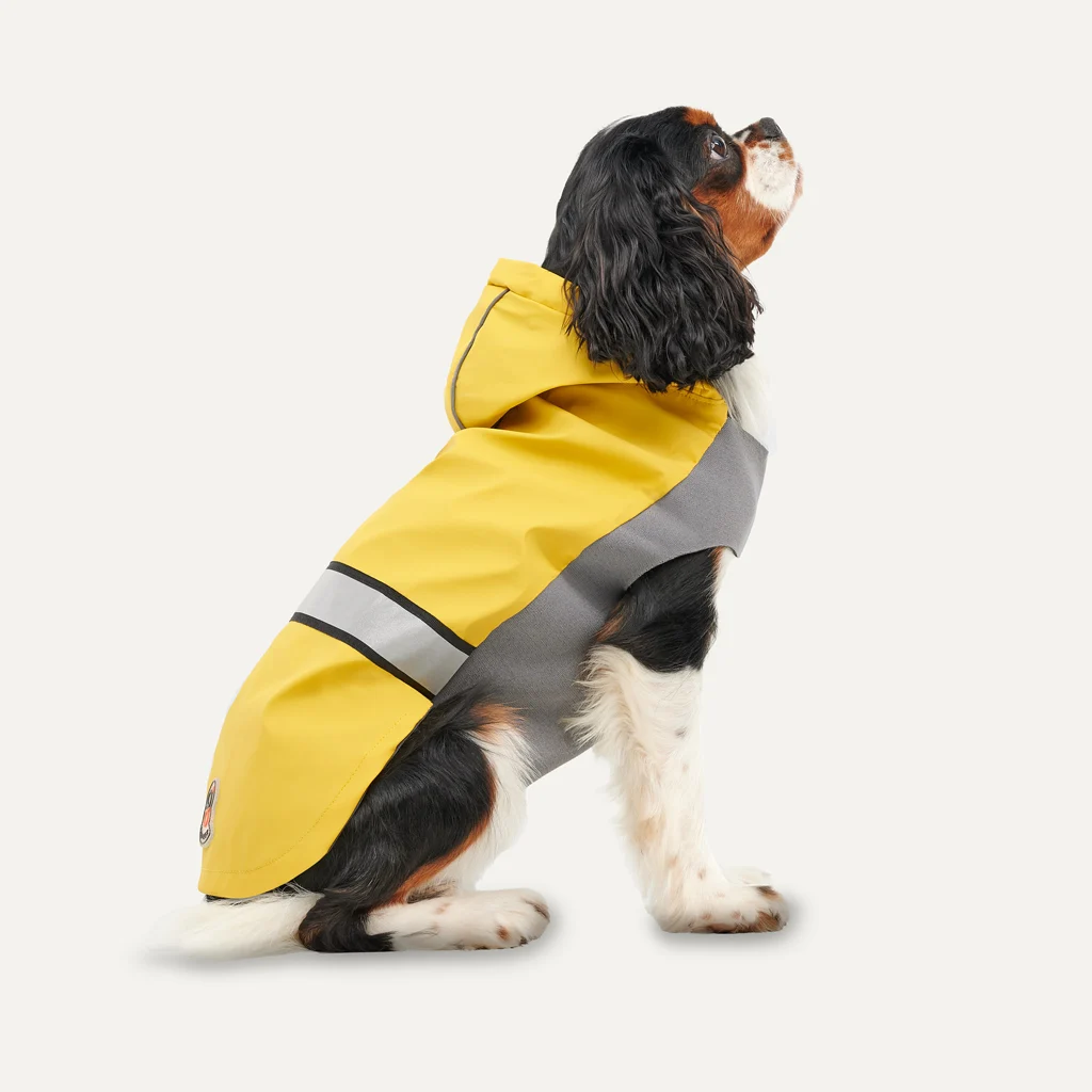 Pláštěnka pro psa s kapucí a reflexním lemem, XXL, délka zad 64 cm, žlutá a šedá – Goo-eez Reflective Hooded Raincoat - Obrázek 1