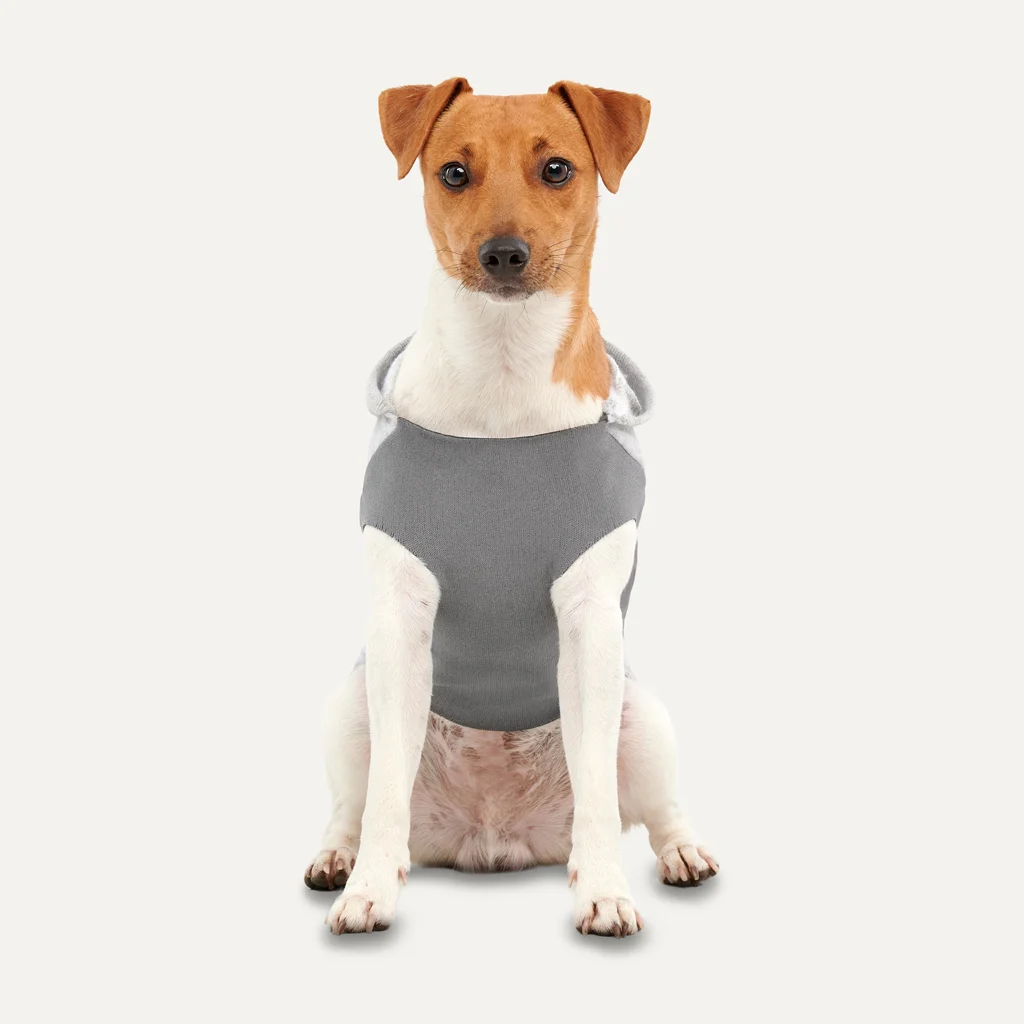 Mikina pro psa z fleecu s plyšovou podšívkou, velikost XXL, šedá – Goo-eez Kangaroo Fleece Hoodie - Obrázek 3