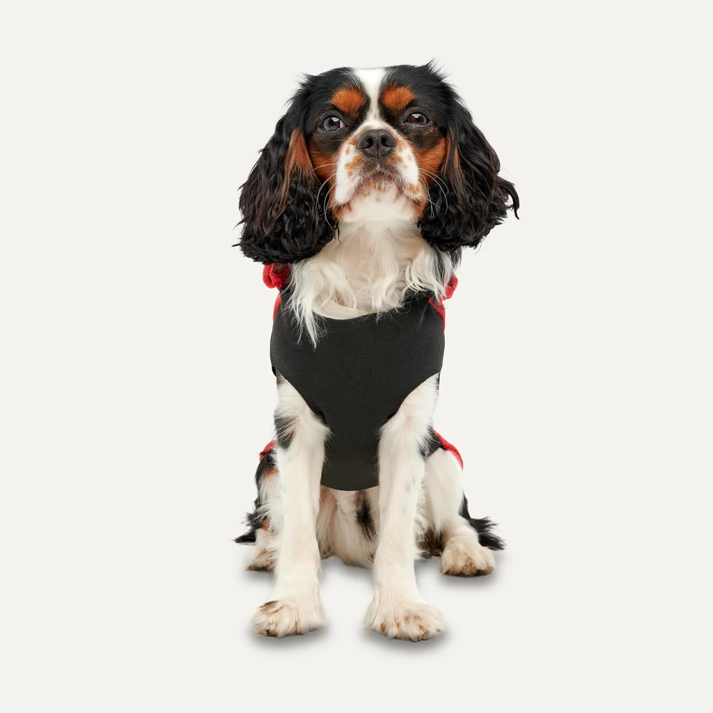 Flísová mikina pro psa s plyšovou podšívkou, velikost XS, červená a černá – Goo-eez Kangaroo Fleece Hoodie - Obrázek 2