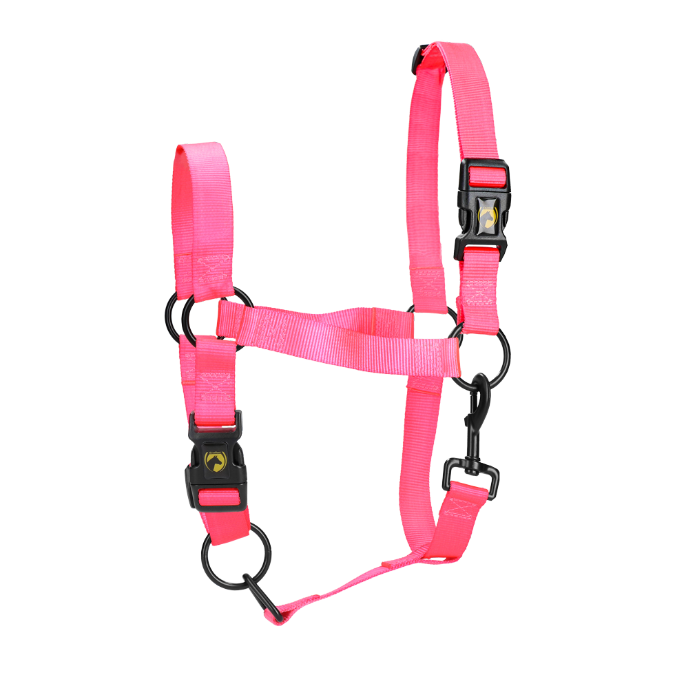 Halster van Nylon met Verstelbare Neusriem en Kopstuk, Roze XL – Excellent Essential Nylonová ohlávka s nastavitelným nánosníkem a nátylníkem, růžová XL – Excellent Essential