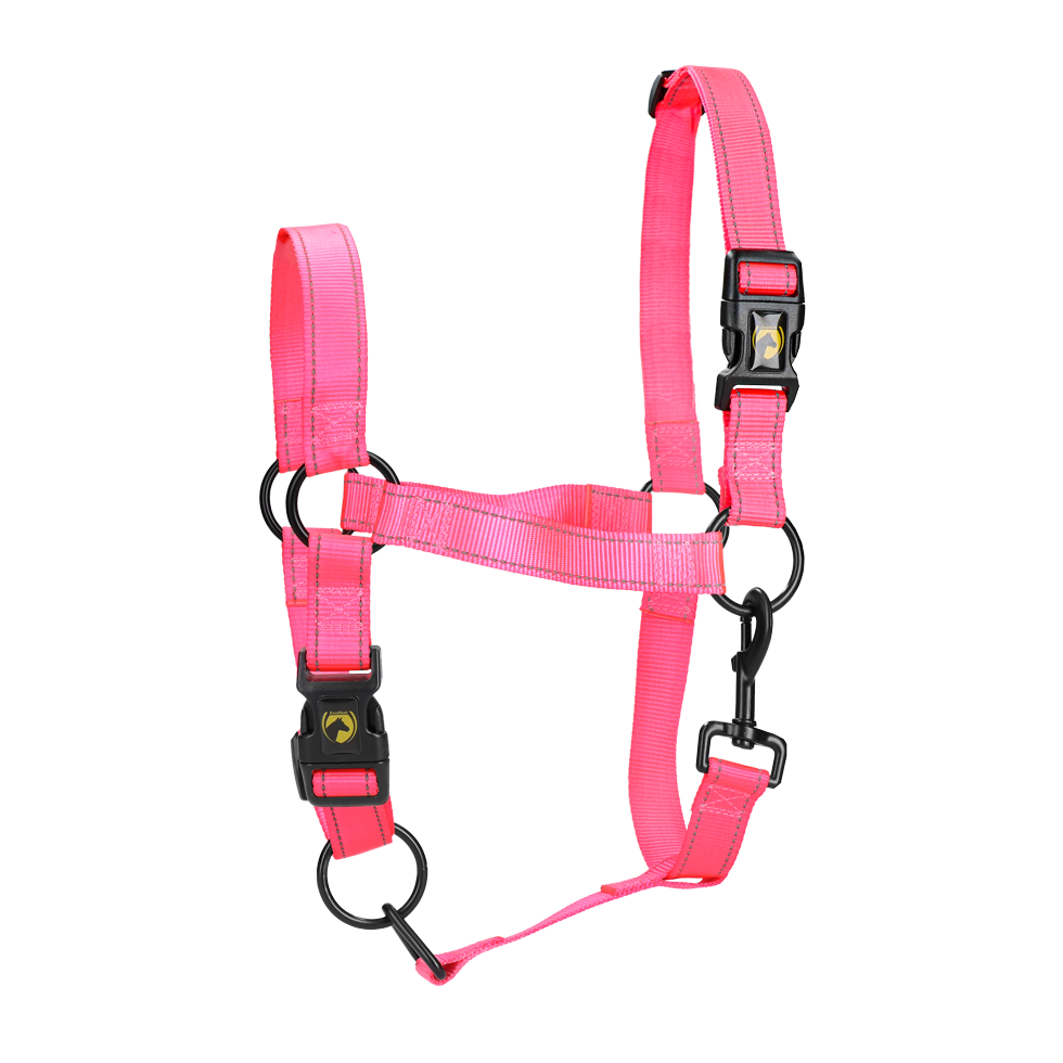 Halster van Nylon met Reflecterende Details, Roze XL – Excellent Premium Nylonová ohlávka s reflexními detaily, růžová XL – Excellent Premium