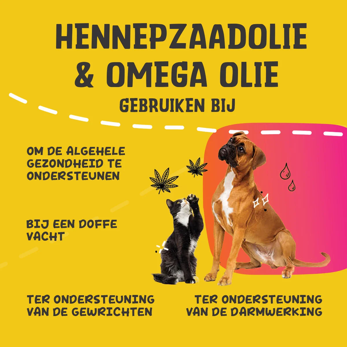 Olejová směs pro psy a kočky s konopným olejem, 250 ml – Excellent Pets HempOne + Omega Oil - Obrázek 6
