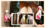 Sprej na hřívu a ocas, usnadňující rozčesávání, 500 ml – Excellent Horse Hi Gloss Spray - Obrázek 2