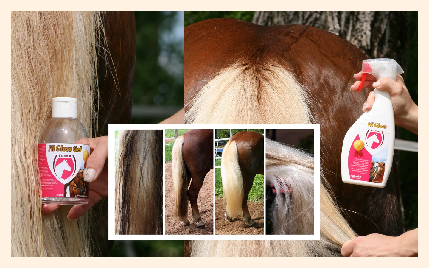 Sprej na hřívu a ocas, usnadňující rozčesávání, 500 ml – Excellent Horse Hi Gloss Spray - Obrázek 2