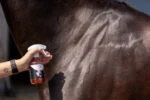 Třpytivý sprej na srst, hřívu a ocas, 250 ml – Excellent Horse Hi Gloss Glitter Spray Orange - Obrázek 2