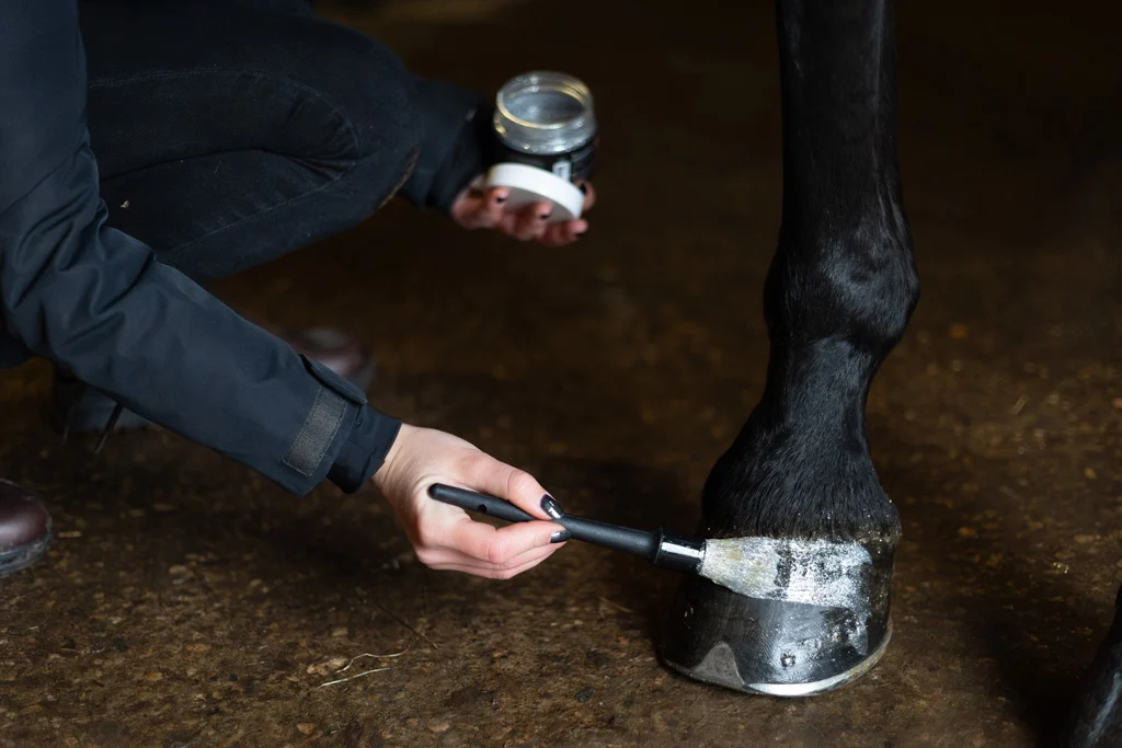 Stříbrný třpytivý lak na kopyta, 150 ml – Excellent Horse Hi Gloss Glitter Hoof Polish - Obrázek 3