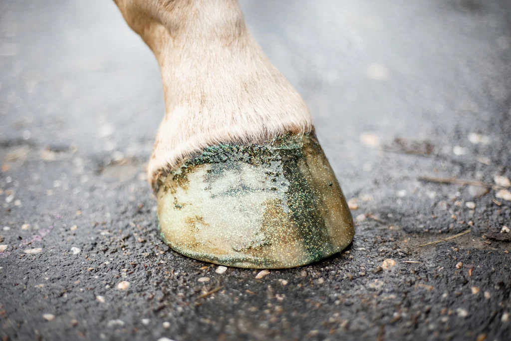Třpytivý lak na kopyta zelený, 150 ml – Excellent Horse Hi Gloss Glitter Hoof Polish - Obrázek 3