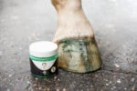 Třpytivý lak na kopyta zelený, 150 ml – Excellent Horse Hi Gloss Glitter Hoof Polish - Obrázek 4