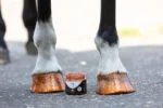 Oranžový třpytivý lak na kopyta, 150 ml – Excellent Horse Hi Gloss Glitter Hoof Polish - Obrázek 3