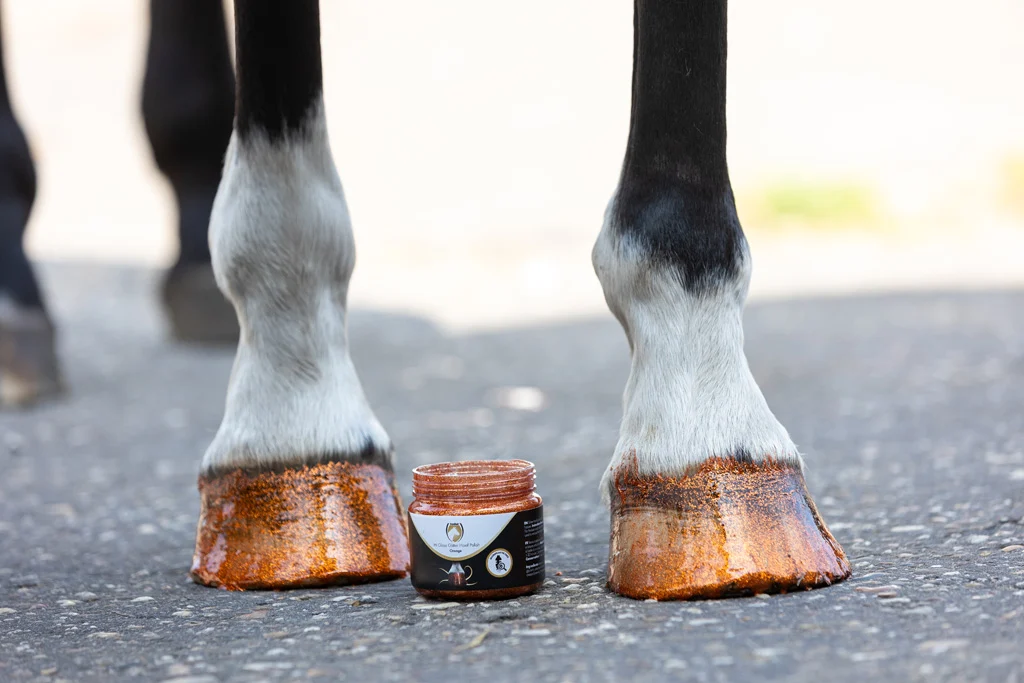Oranžový třpytivý lak na kopyta, 150 ml – Excellent Horse Hi Gloss Glitter Hoof Polish - Obrázek 3