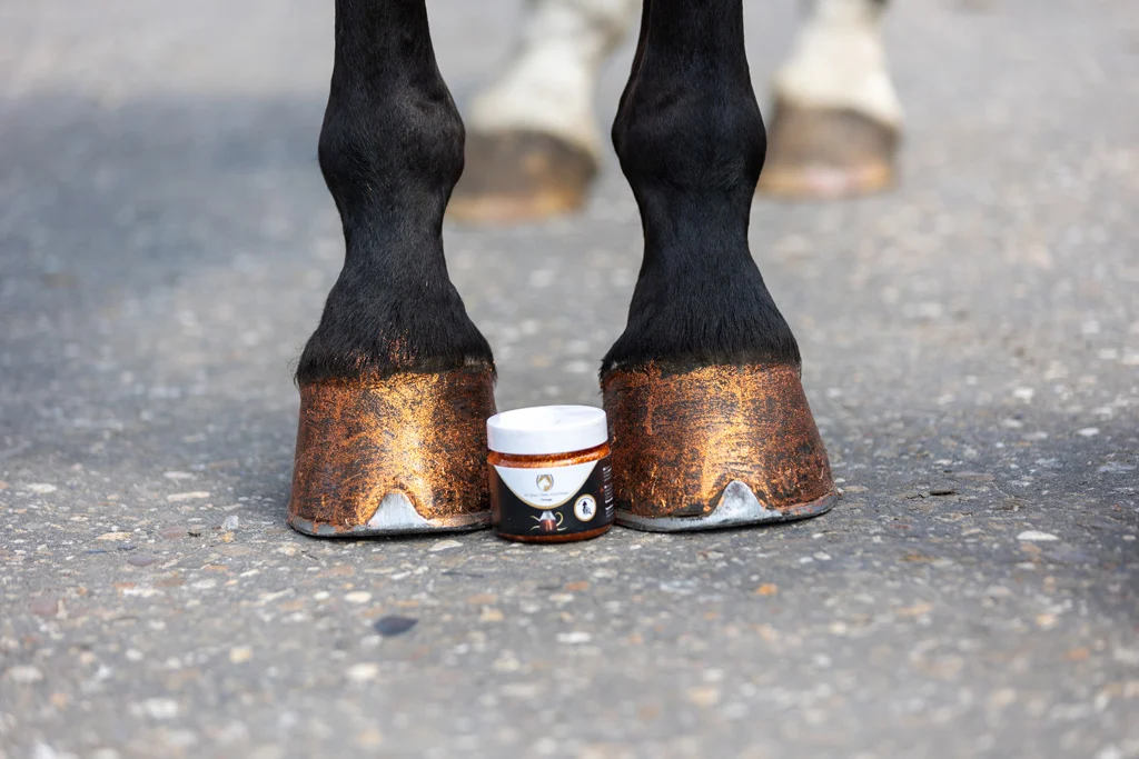 Oranžový třpytivý lak na kopyta, 150 ml – Excellent Horse Hi Gloss Glitter Hoof Polish - Obrázek 2
