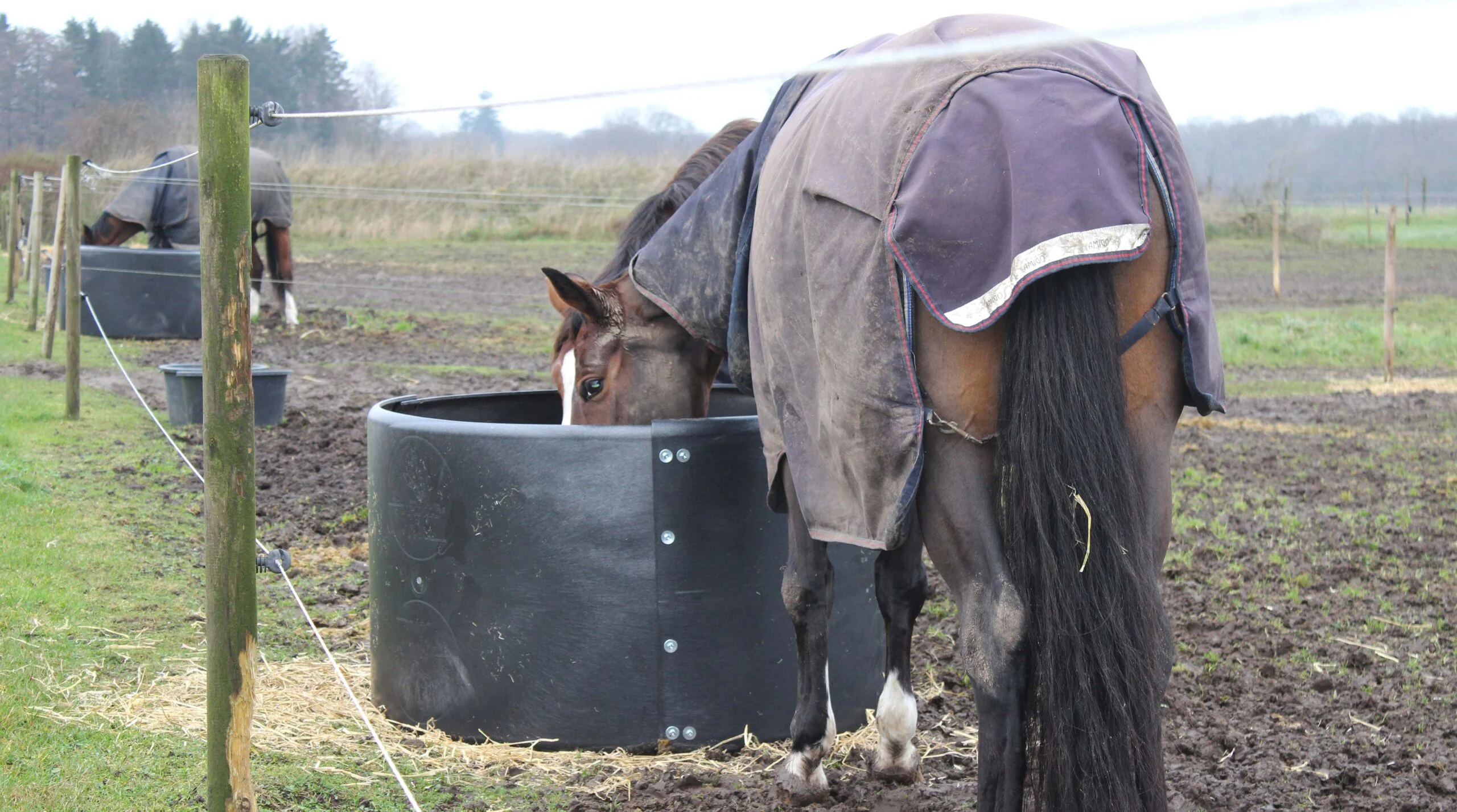 Senový kruh pro koně na pastvinu, ø 124–128 cm – Ok-Plast Hooi Ring Feeder - Obrázek 1