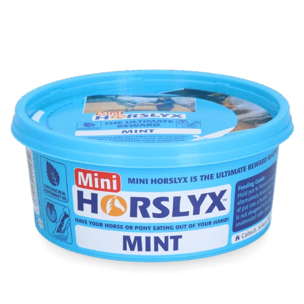 Lízací kámen pro koně jako odměna, 650 g – Horslyx Mini Mint