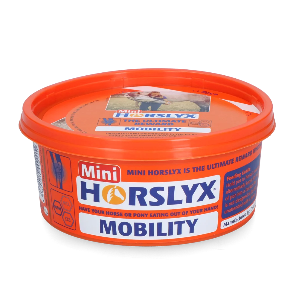 Liz pro koně jako odměna, 650 g – Horslyx Mini Mobilita - Obrázek 1