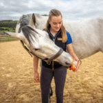 Liz pro koně jako odměna, 650 g – Horslyx Mini Mobilita - Obrázek 3