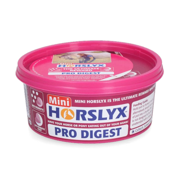Lízací pamlsek pro koně jako odměna, 650 g – Horslyx Mini Spijsvertering