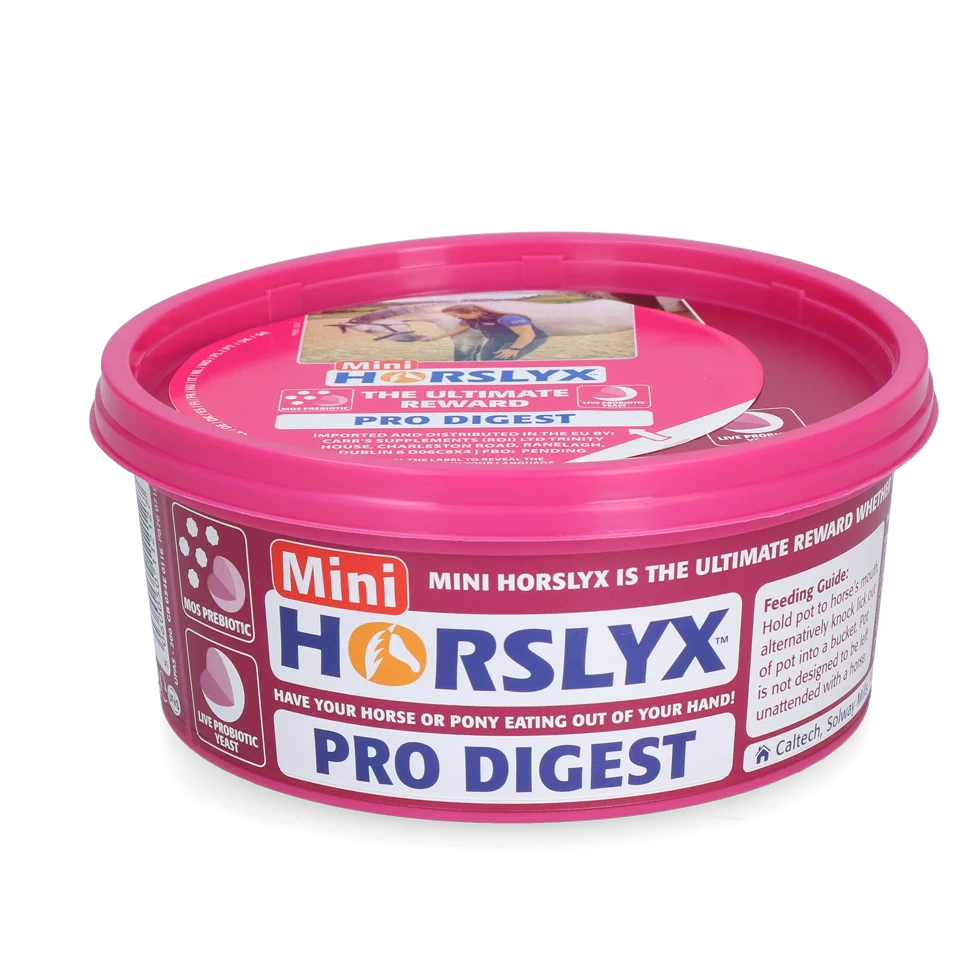 Lízací pamlsek pro koně jako odměna, 650 g – Horslyx Mini Spijsvertering - Obrázek 1