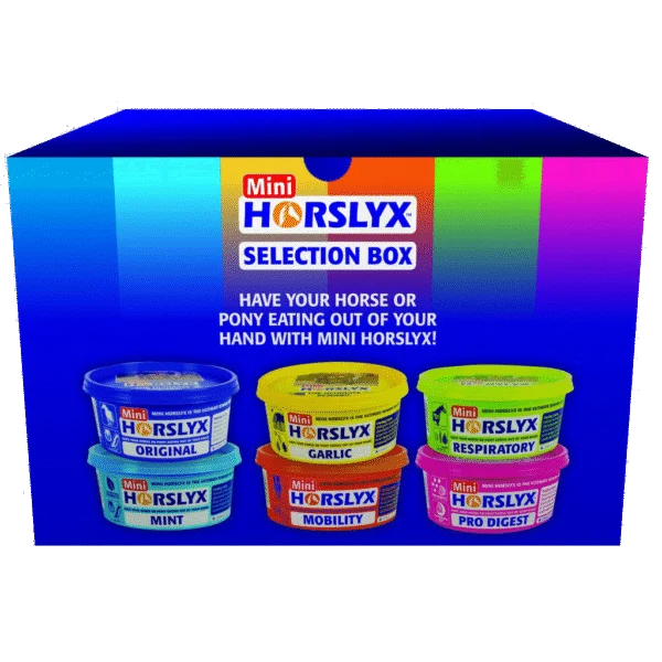 Lízací pamlsky pro koně jako odměna, 6 x 650 g – Horslyx Mini Selection Box