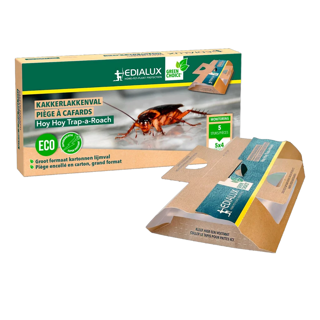 Lepový lapač švábů s lákadlem, 5 kusů – Hoy Hoy Trap-A-Roach - Obrázek 1