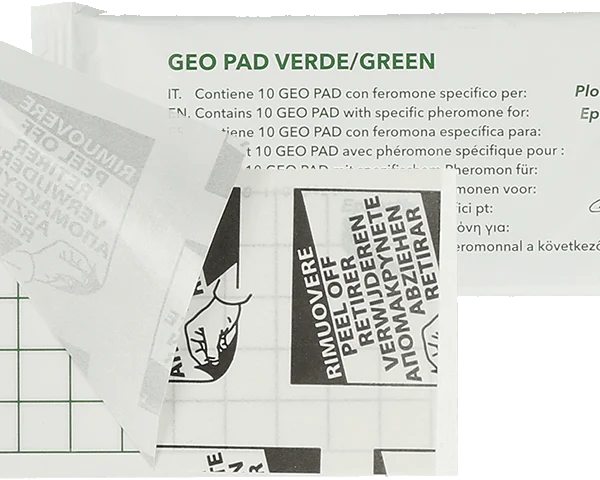 Lepová deska na potravinové moly s feromonem, 13 x 6 cm, 10 kusů – Hofman Pest Control Geo