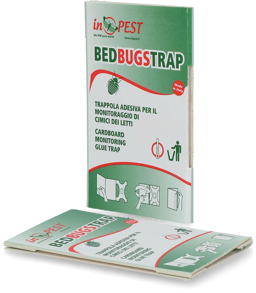 Monitorovací past na štěnice s lepicí vrstvou, 16 x 8,5 cm, 10 kusů – Hofman Pest Control - Obrázek 1