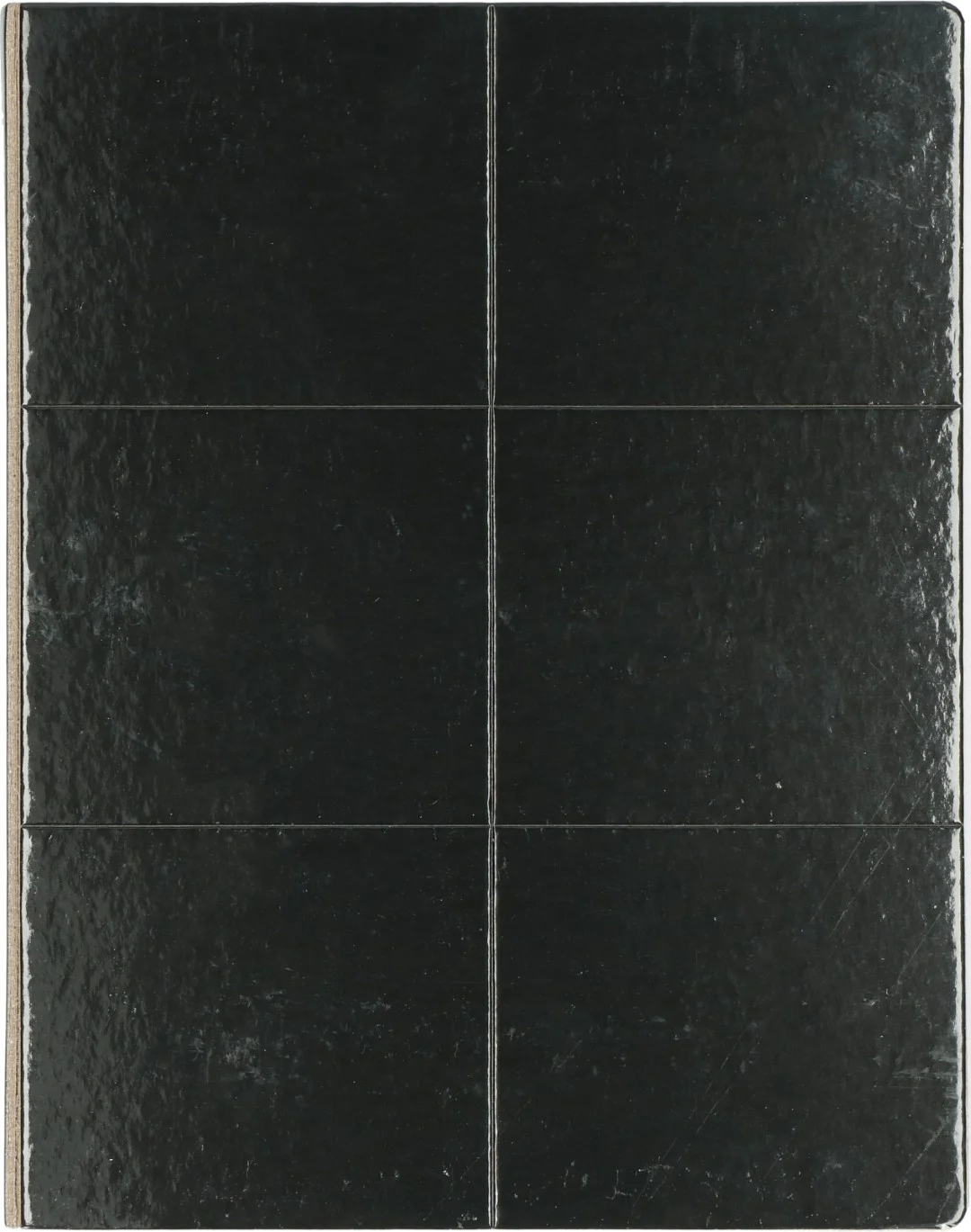 Lepová deska na hmyz ve tvaru knihy, černá, 22 x 17 cm – Hofman Pest Control - Obrázek 3