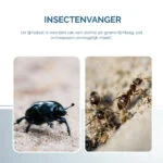 Lepová deska na hmyz ve tvaru knihy, černá, 22 x 17 cm – Hofman Pest Control - Obrázek 5