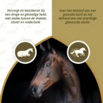 Krmný olej pro koně s omega 3 a omega 6, 1 l – Excellent Horse Itch Stop Feed Oil - Obrázek 3