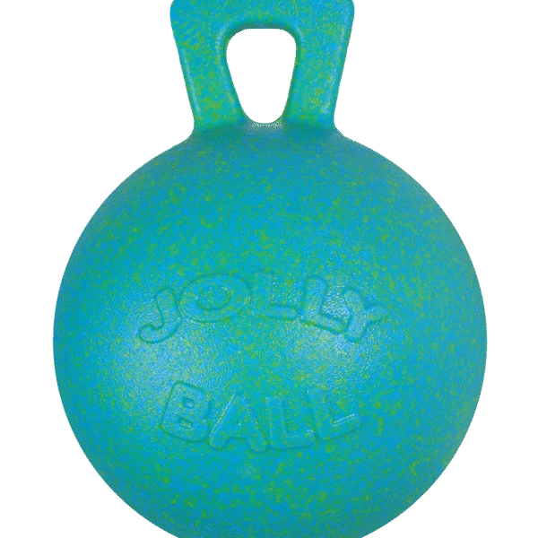 Míč na hraní pro koně, oceánově zelený s vůní jablka, 25 cm – Jolly Pets Jolly Ball